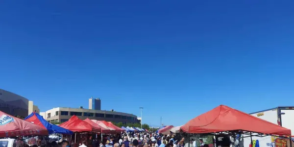 克拉玛依市各区县天天早市和乡镇赶集时间介绍