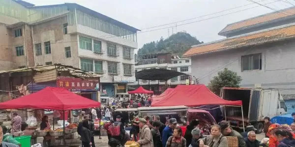 百色市各区县天天早市和乡镇赶集时间介绍