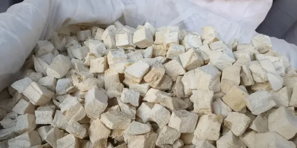 葛根鬼针草泡水喝的功效：清热护肝的天然养生搭配