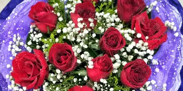 不同颜色、不同枝数玫瑰含义详解