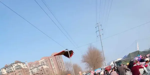 德州市各区县天天早市和乡镇赶集时间介绍