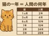 猫的一年等于人类的几年？——动物专家带你科学解读猫咪年龄换算