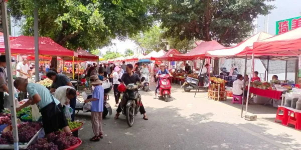 株洲市免费摊位地点推荐
