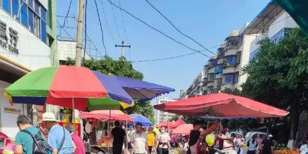温州市各区县天天早市和乡镇赶集时间介绍