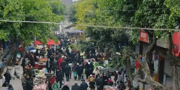 都江堰市天天早市和乡镇赶集时间介绍