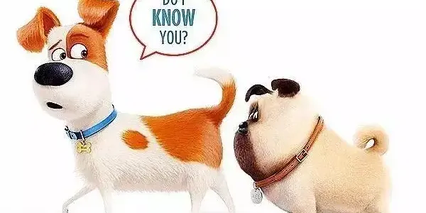 为什么狗狗见面，会先去闻对方的屁股？