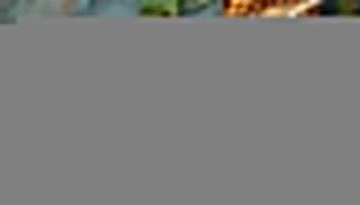 I4qmsZv5ungLrOnqUA1ipU17.webp.webp
