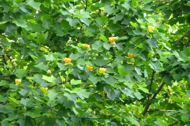 640.webp