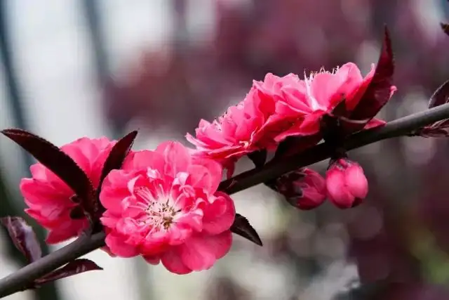 640.webp