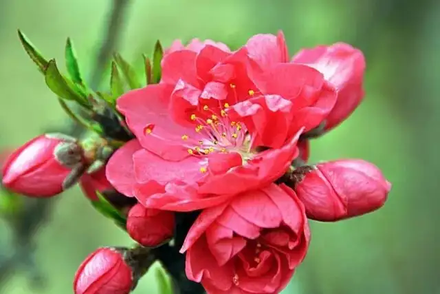 640.webp