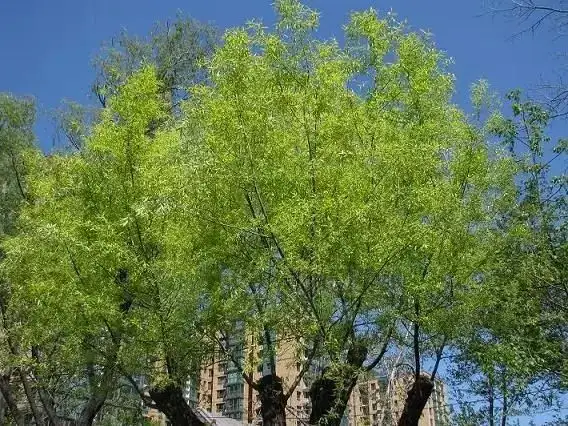 640.webp