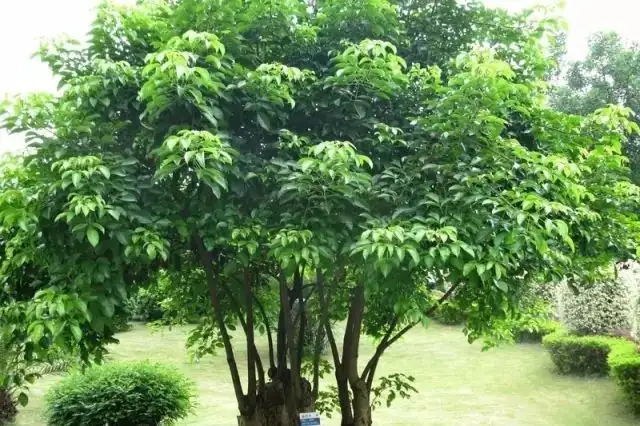 640.webp