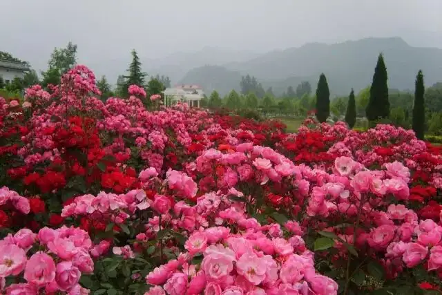 640.webp