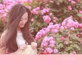 640.webp