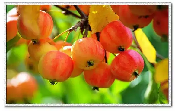 640.webp