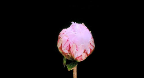 640.webp
