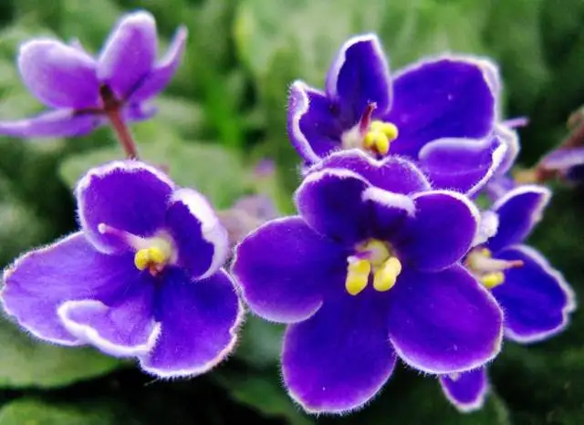 640.webp