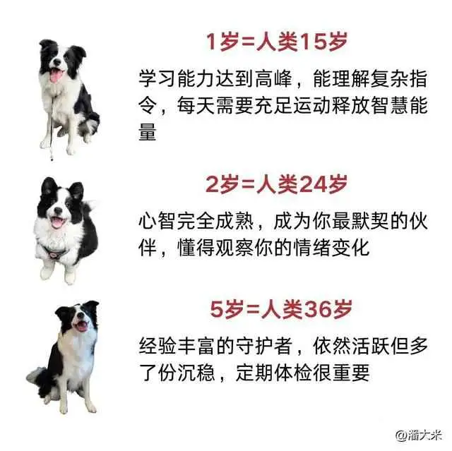 202026m3wsbqhpns633iu6.webp.thumb.webp.webp