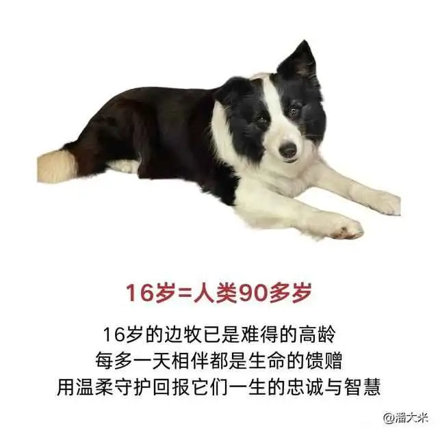 202026n3iyhk8l33zfltkl.webp.thumb.webp.webp