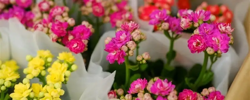 6110dcb344b97.webp.webp