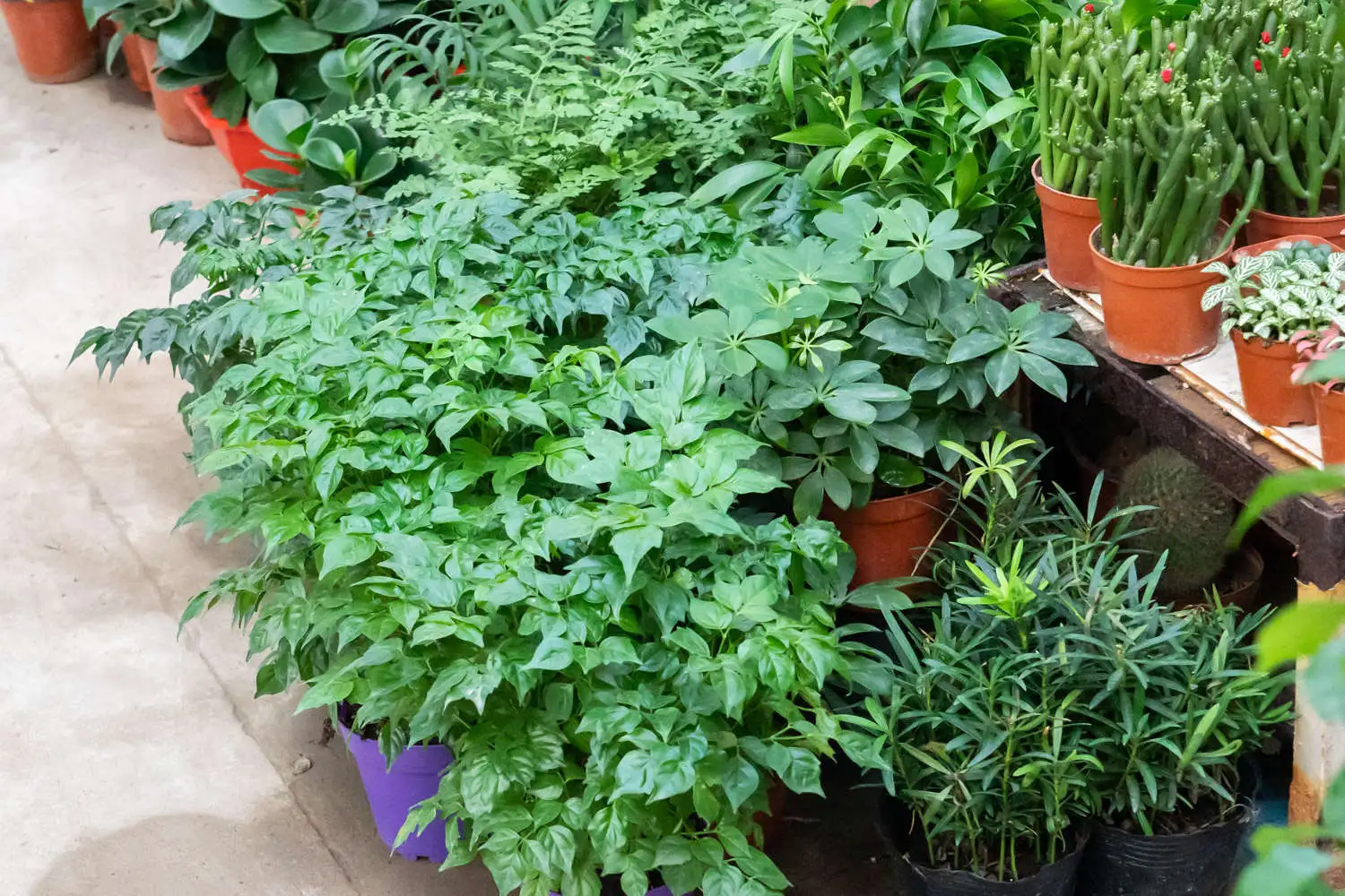 20200929162626_940459.webp.webp