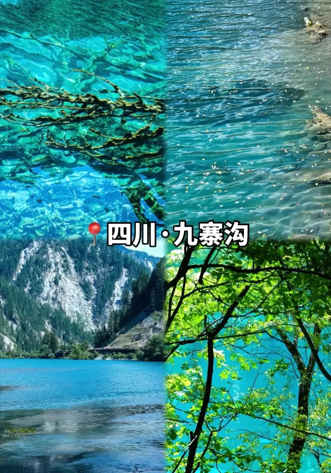 640.webp