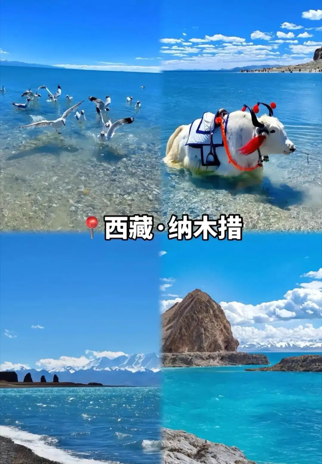 640.webp