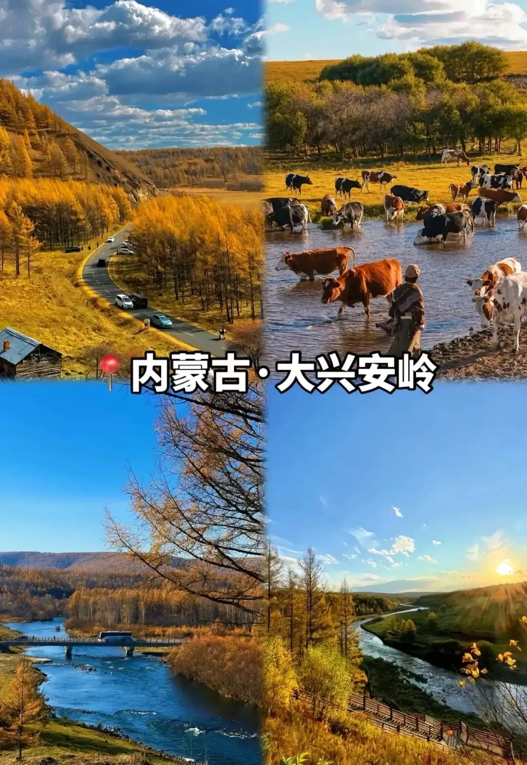 640.webp