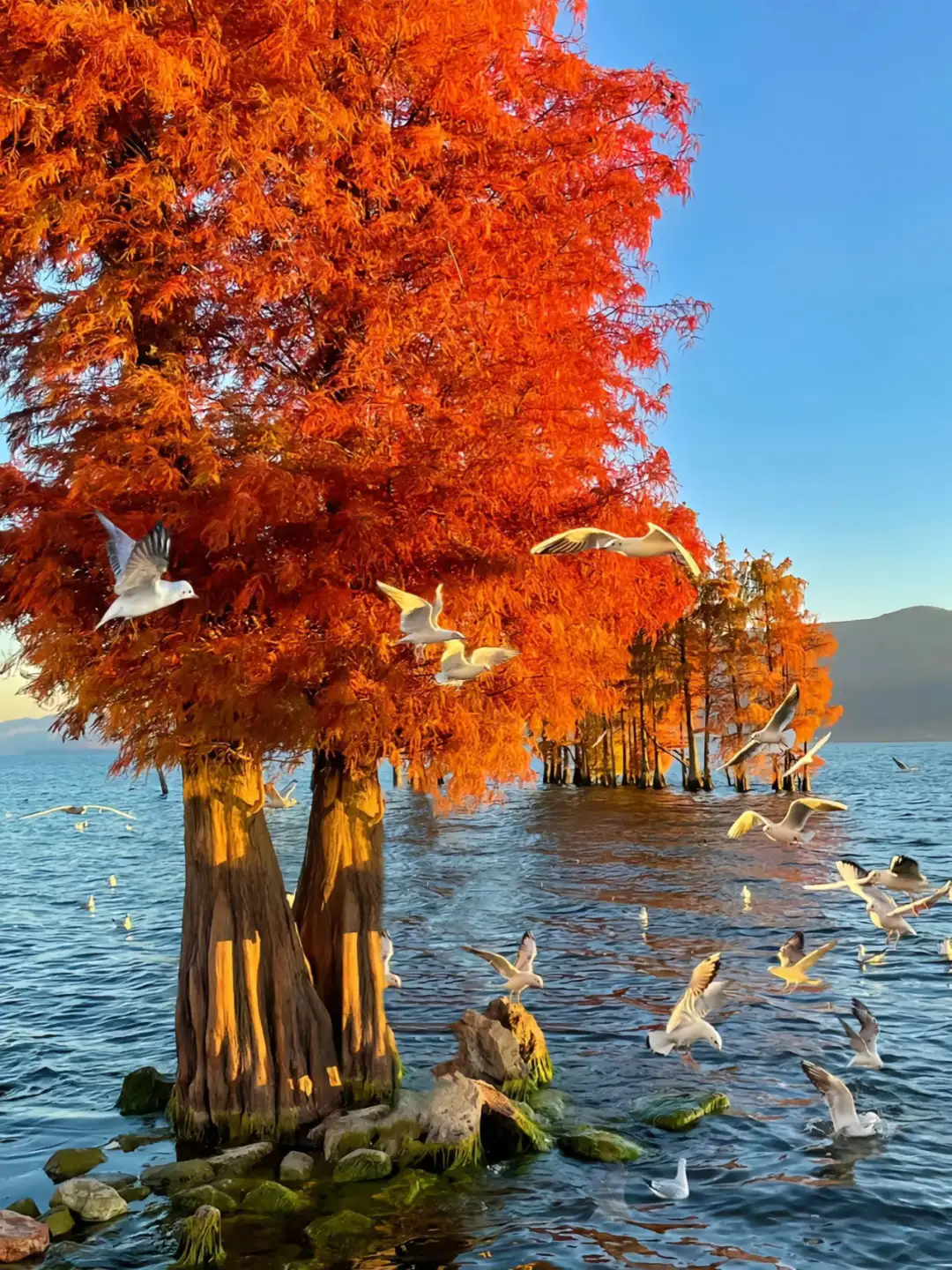 640.webp